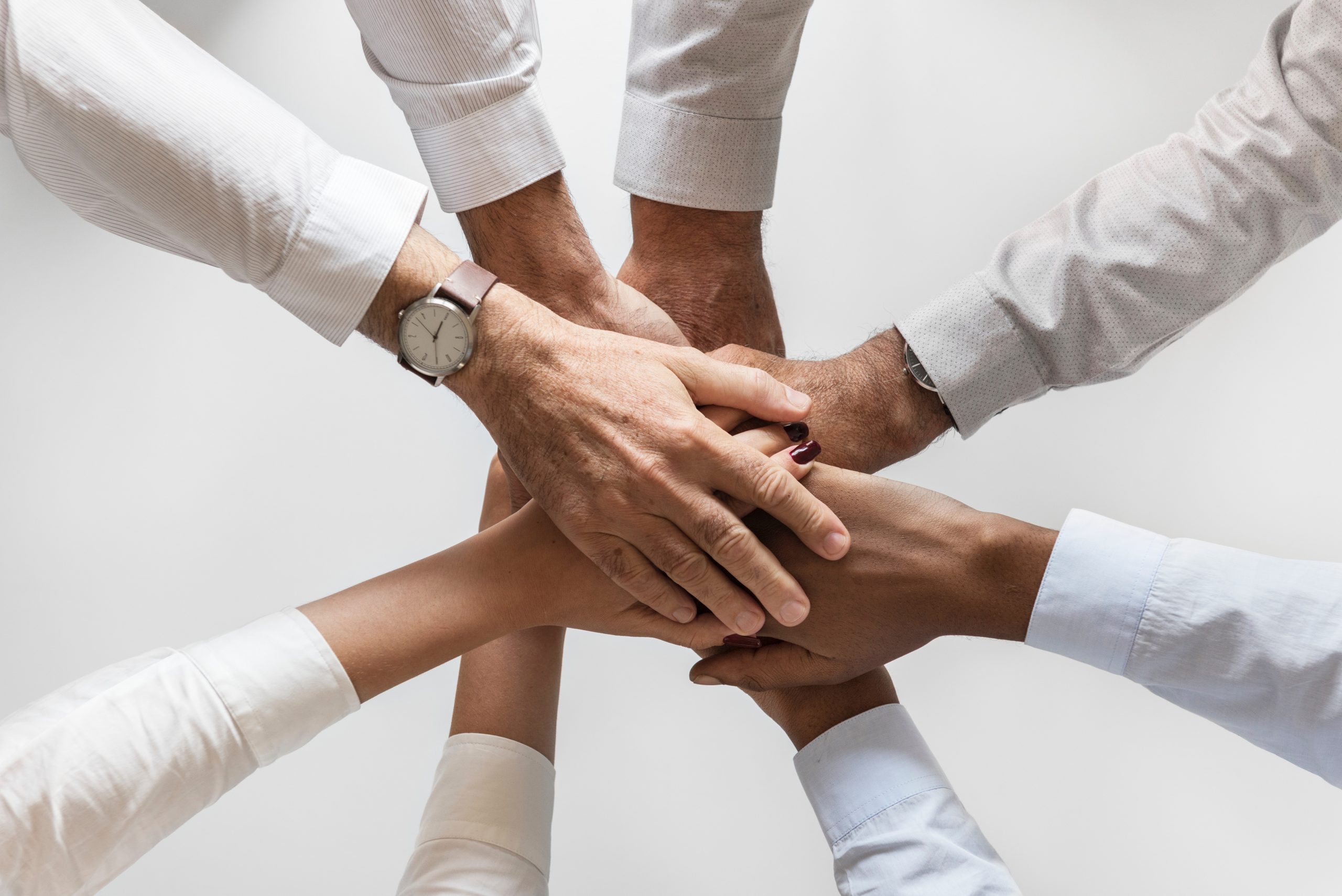 Our Team Fusion Auto Finance The Leader In Credit Union Leasing